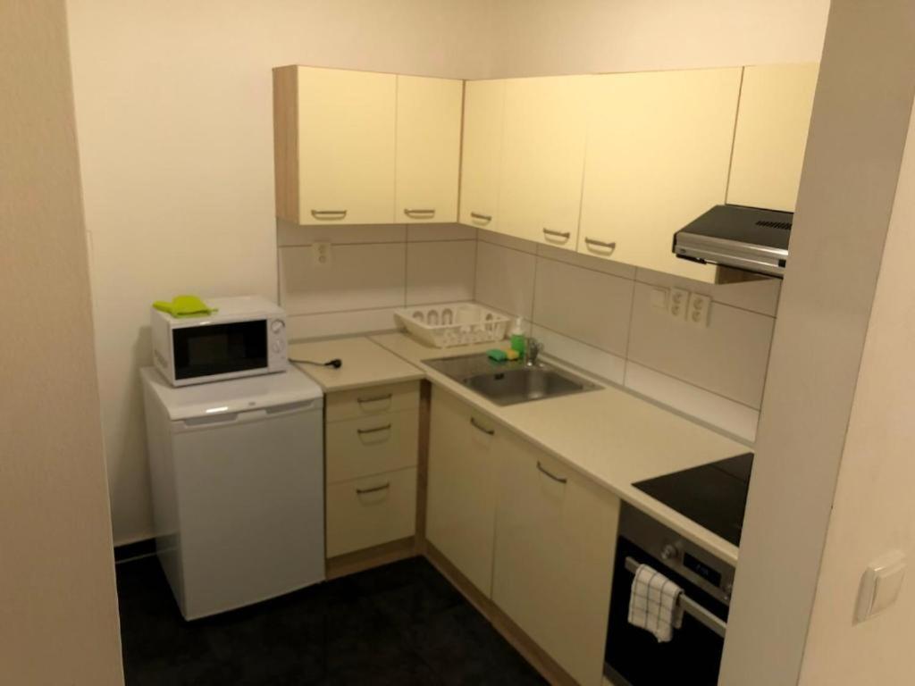 Apartmans In The Center With Privat Parking Apartment Brno Ngoại thất bức ảnh
