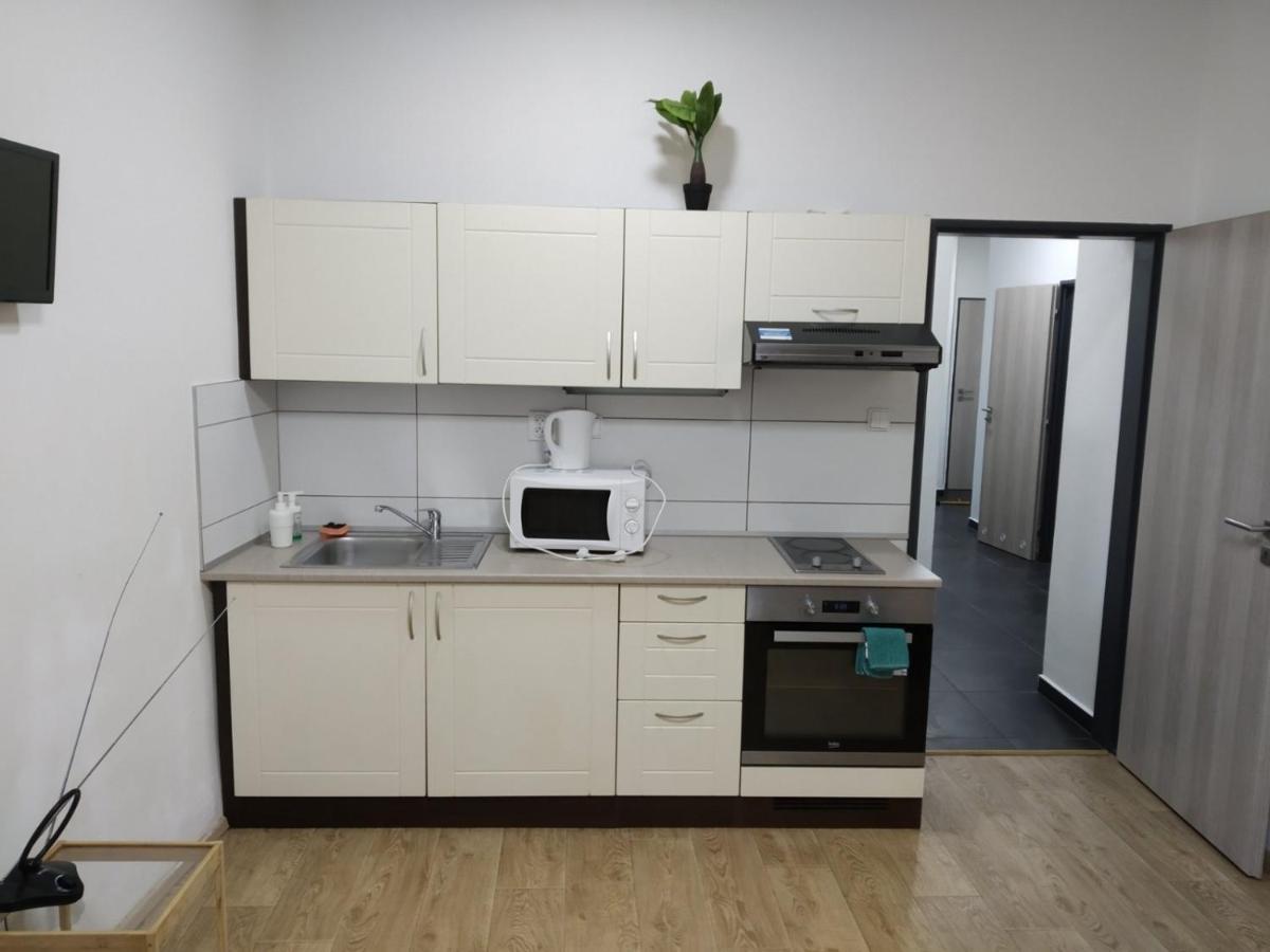 Apartmans In The Center With Privat Parking Apartment Brno Ngoại thất bức ảnh